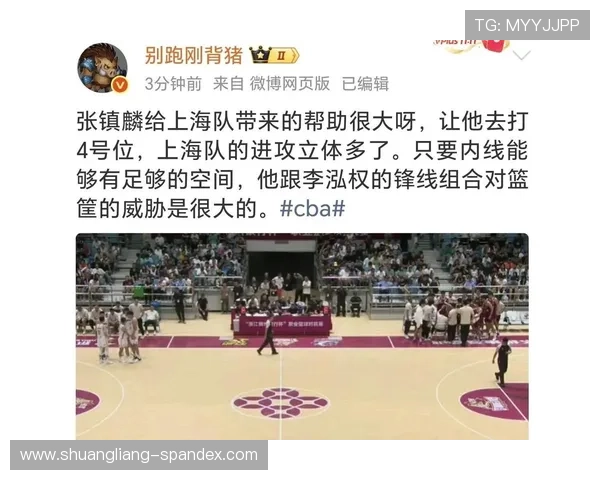 卢伟力挺张镇麟没问题引热议球迷反倒开始为主帅前景担忧